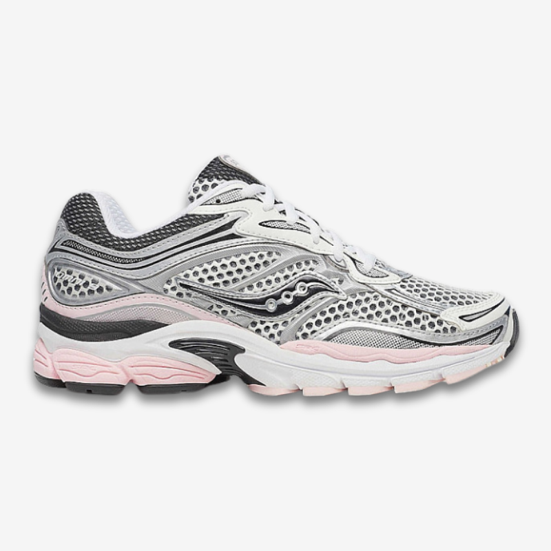 BlushPhase 9 🌸 Rose Argenté